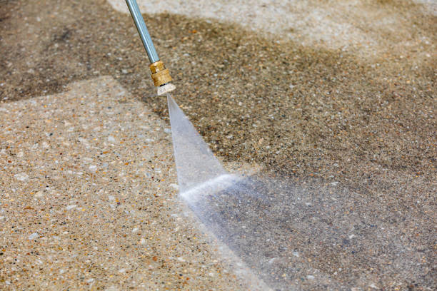 Best Animal Enclosure Cleaning  in Murphy, MO